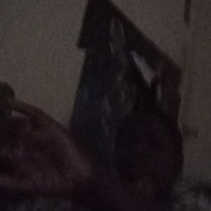 Meet your Posher, Tlenna